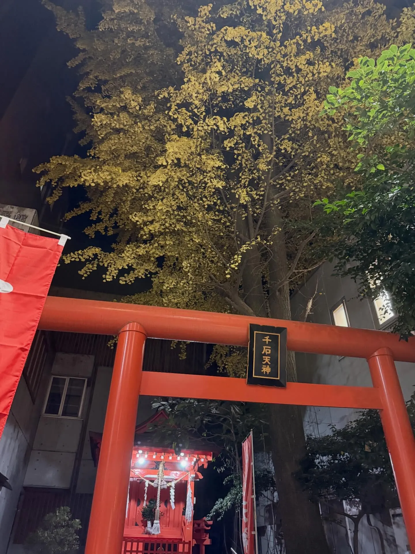 #鹿児島ユナイテッドfc